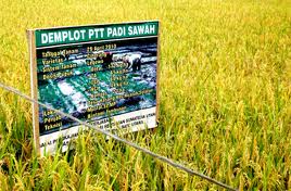 Pembuatan Demplot Teluk Lanus Tuai Protes