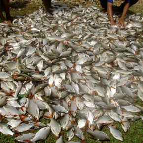 SANYO DIGITAL CAMERA