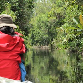 Tasik Besar Serkap, Ini Perjalanan Berat (bag II )