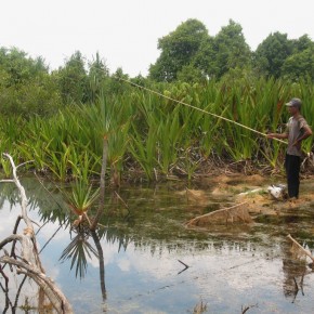 Bondang Alternatif Nelayan Saat Musim Kering