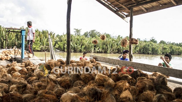 Kelapa Indragiri Hilir