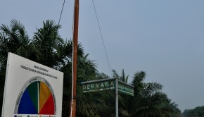 papan petunjuk potensi bahaya kebakaran hutan di Desa   Harapan Jaya. Sudah tiga tahun desa ini berhasil menerapkan pembukaan  lahan  tanpa membakar hutan.